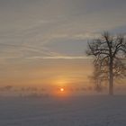 Winter am Niederrhein (2)