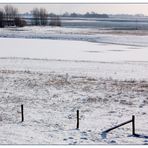 Winter am Niederrhein (2)