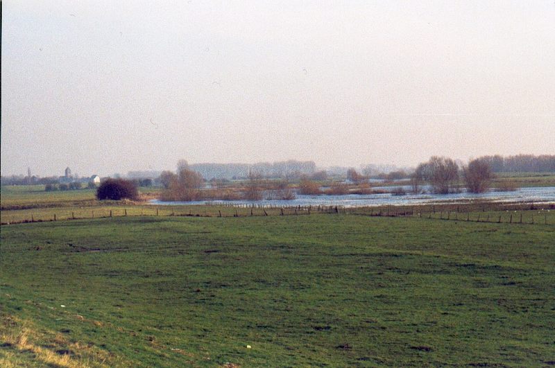 Winter am Niederrhein 2