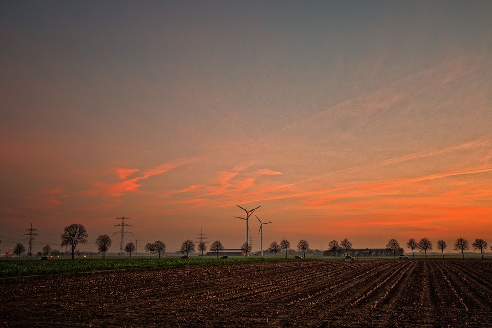 Winter am Niederrhein 2014