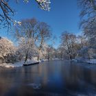 Winter am Niederrhein