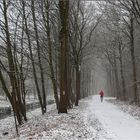 Winter am Niederrhein (3)