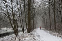 Winter am Niederrhein (3)