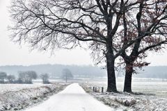 Winter am Niederrhein