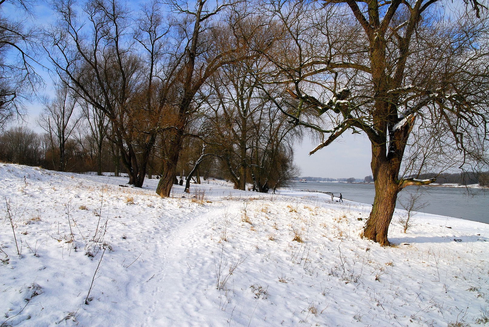 Winter am Niederrhein