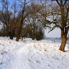 Winter am Niederrhein