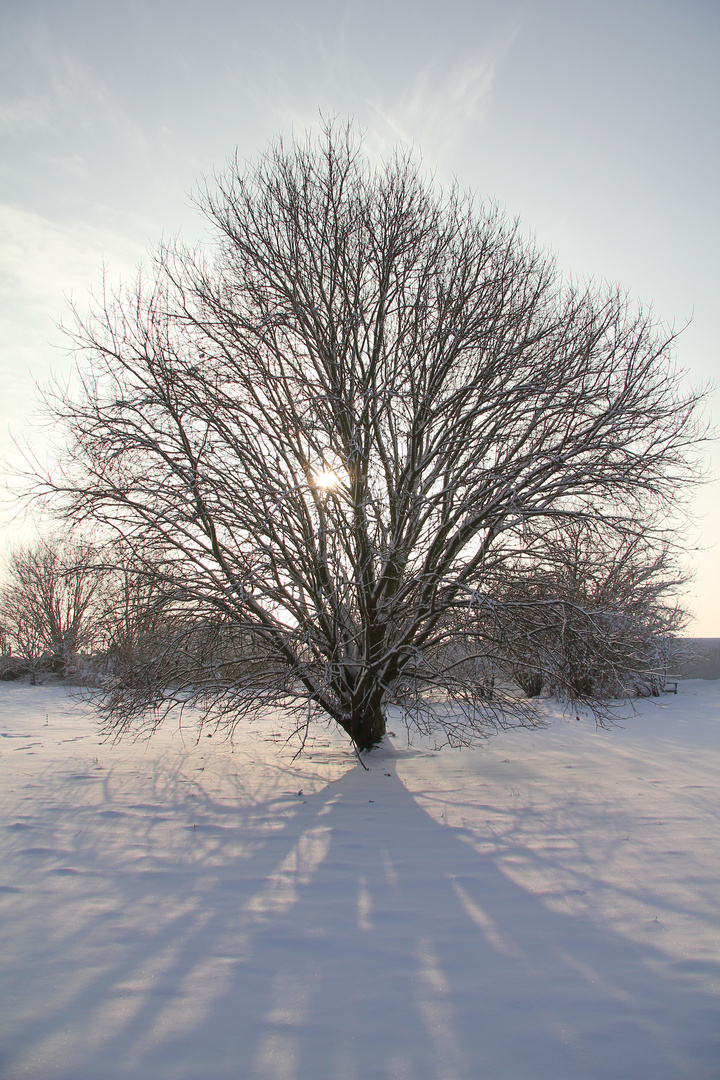 Winter am Niederrhein