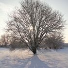 Winter am Niederrhein