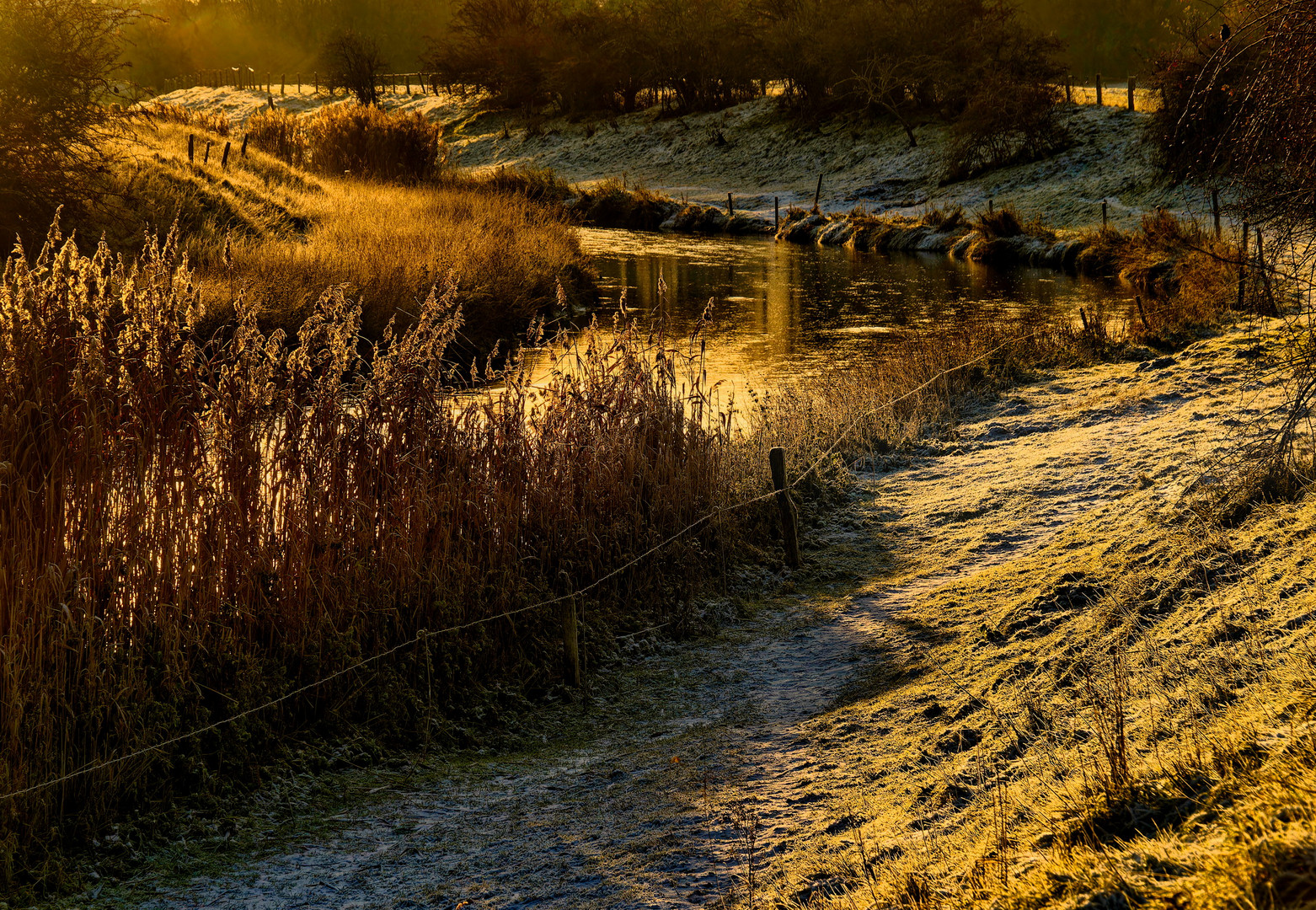 Winter am Niederrhein 