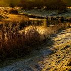 Winter am Niederrhein 