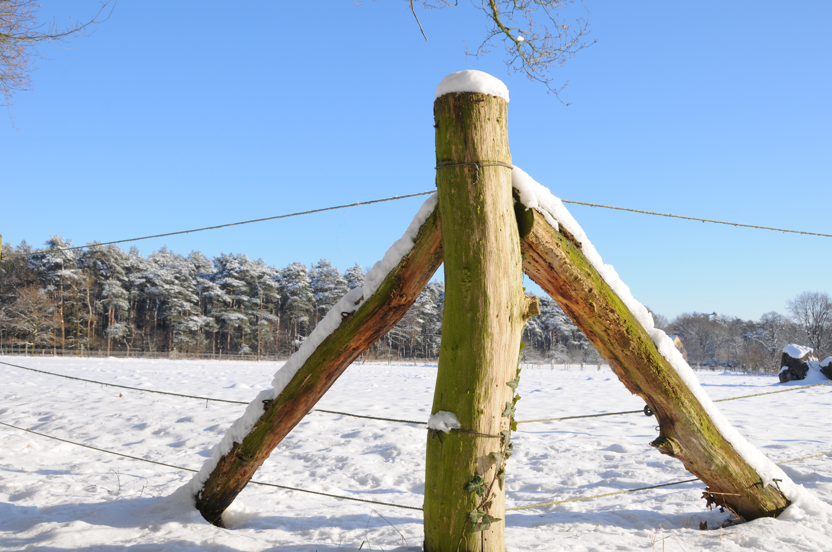 Winter am Niederrhein