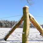 Winter am Niederrhein