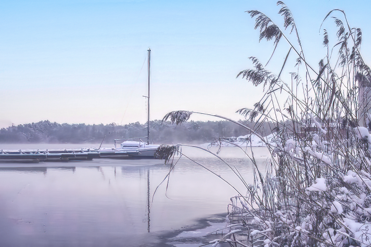 Winter am Niederrhein