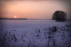 Winter am Niederrhein