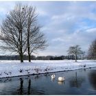 Winter am Niederrhein