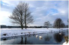 Winter am Niederrhein