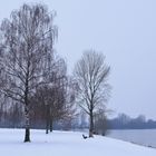 Winter am Niederrhein