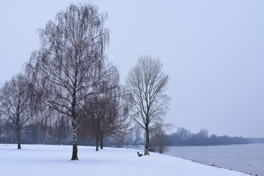 Winter am Niederrhein