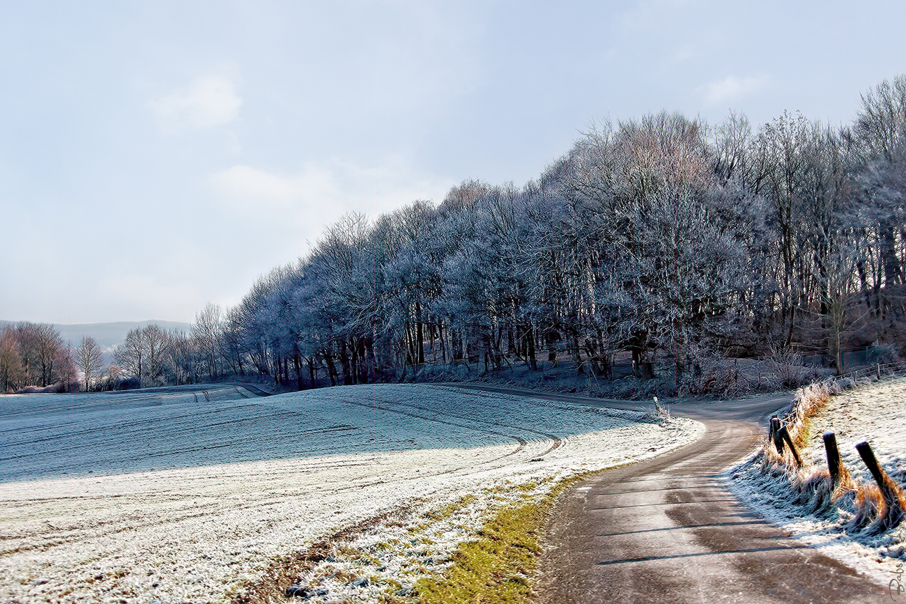 Winter am Niederrhein