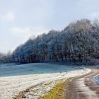 Winter am Niederrhein