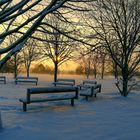 Winter am Niederrhein