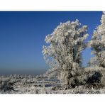 Winter am Niederrhein....