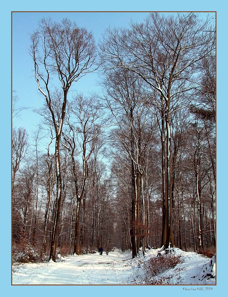 Winter am Niederrhein