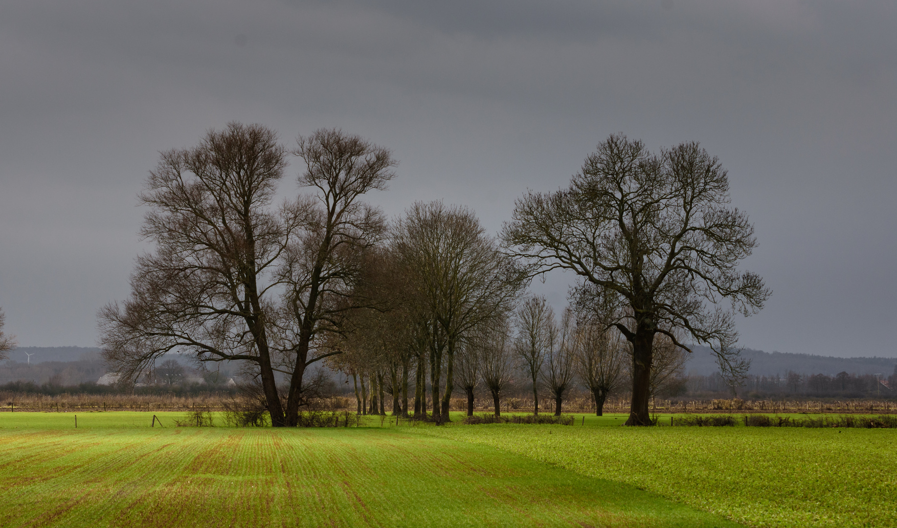 Winter am Niederrhein