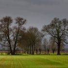 Winter am Niederrhein