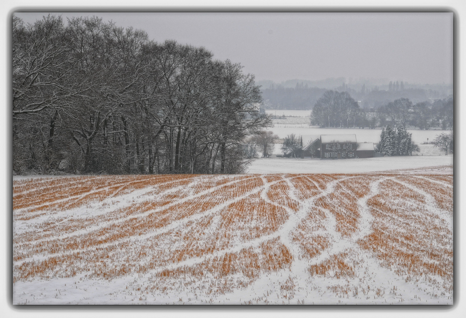 Winter am Niederrhein