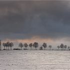 Winter am Niederrhein ....