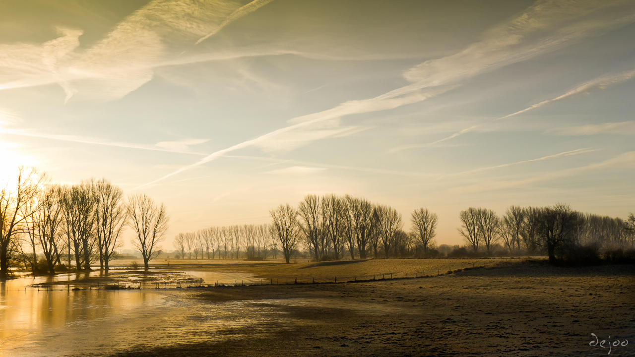 Winter am Niederrhein