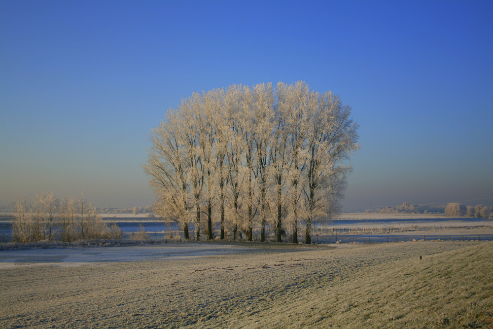 Winter am Niederrhein....