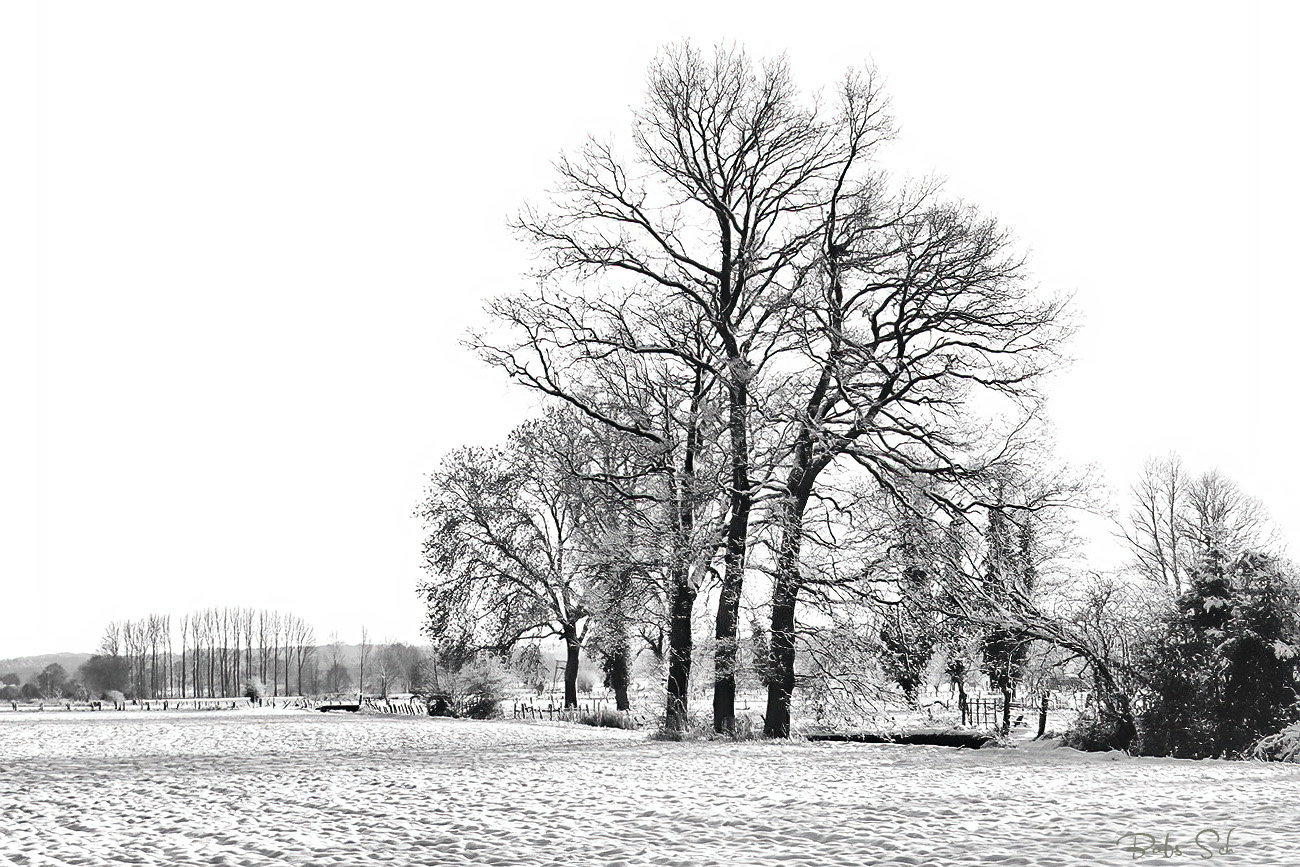 Winter am Niederrhein....