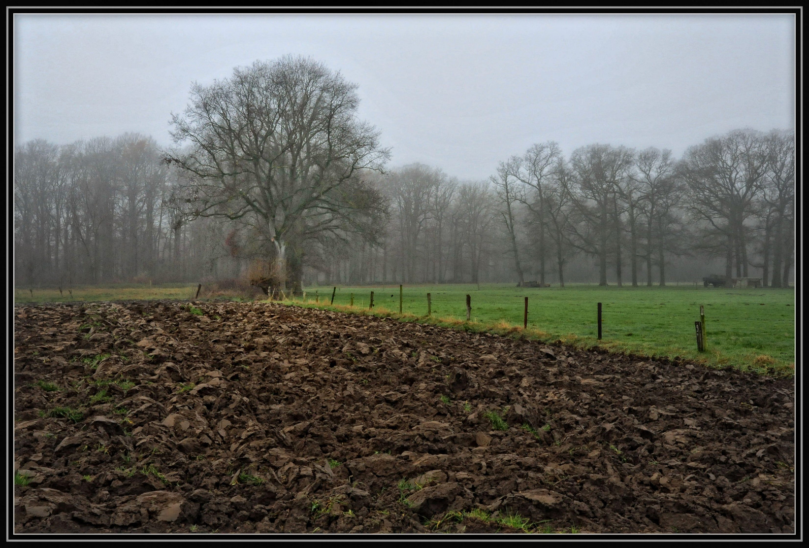 Winter am Niederrhein