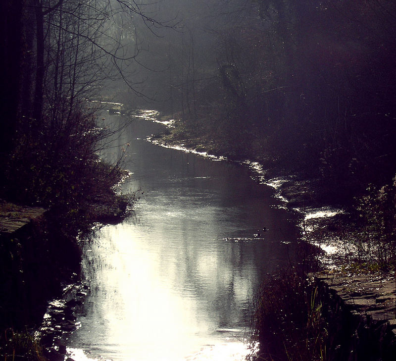 Winter am Niederrhein