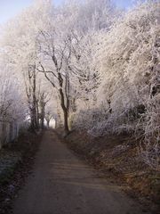 Winter am Niederrhein