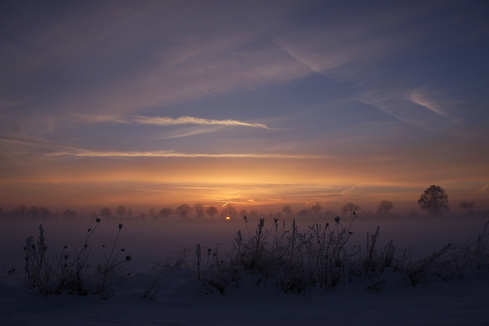 Winter am Niederrhein