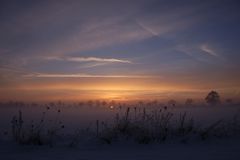 Winter am Niederrhein