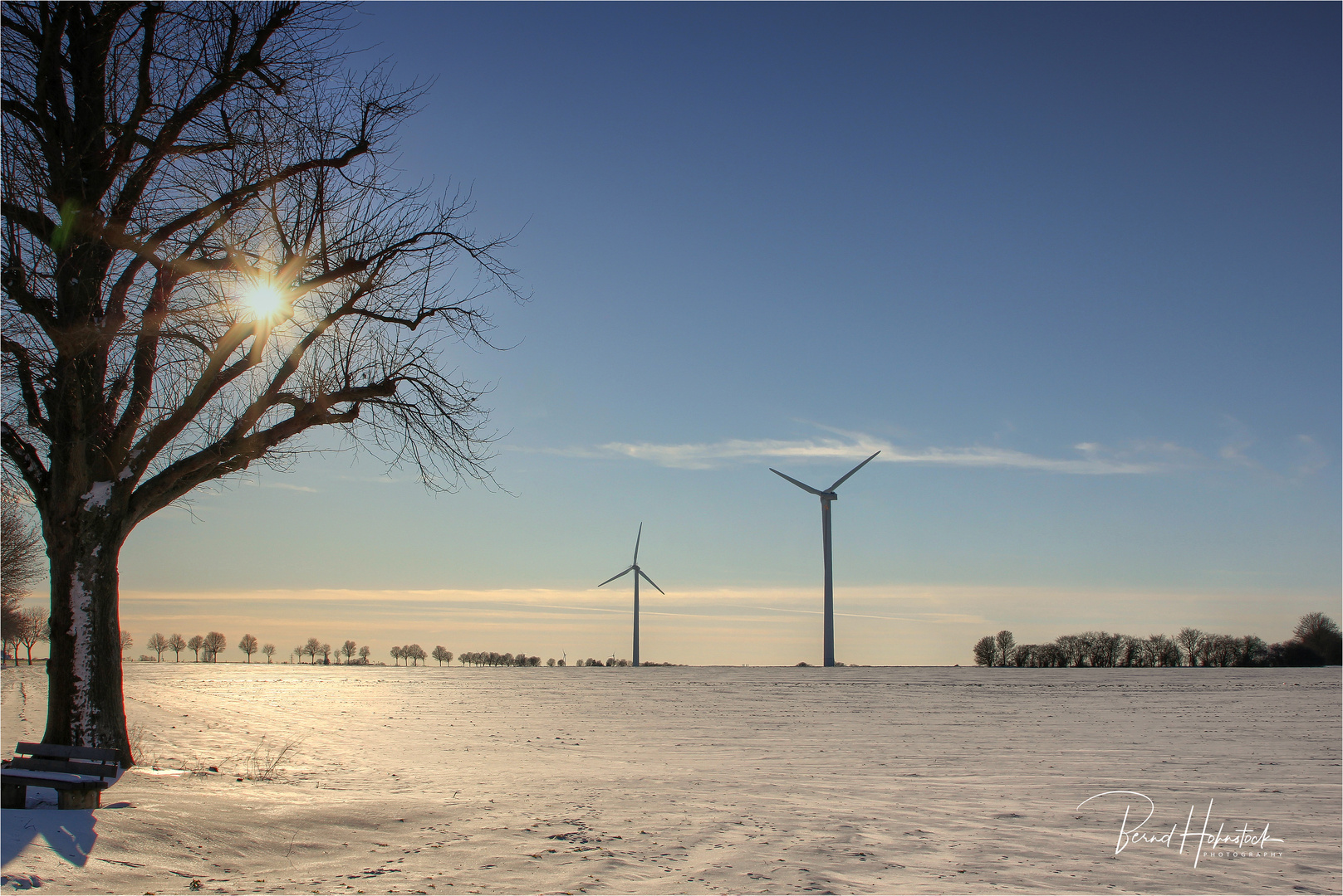 Winter am Niederrhein .... geht zu Ende