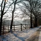 Winter am Niederrhein II