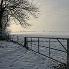 Winter am Niederrhein in Kleve- Reichwalde