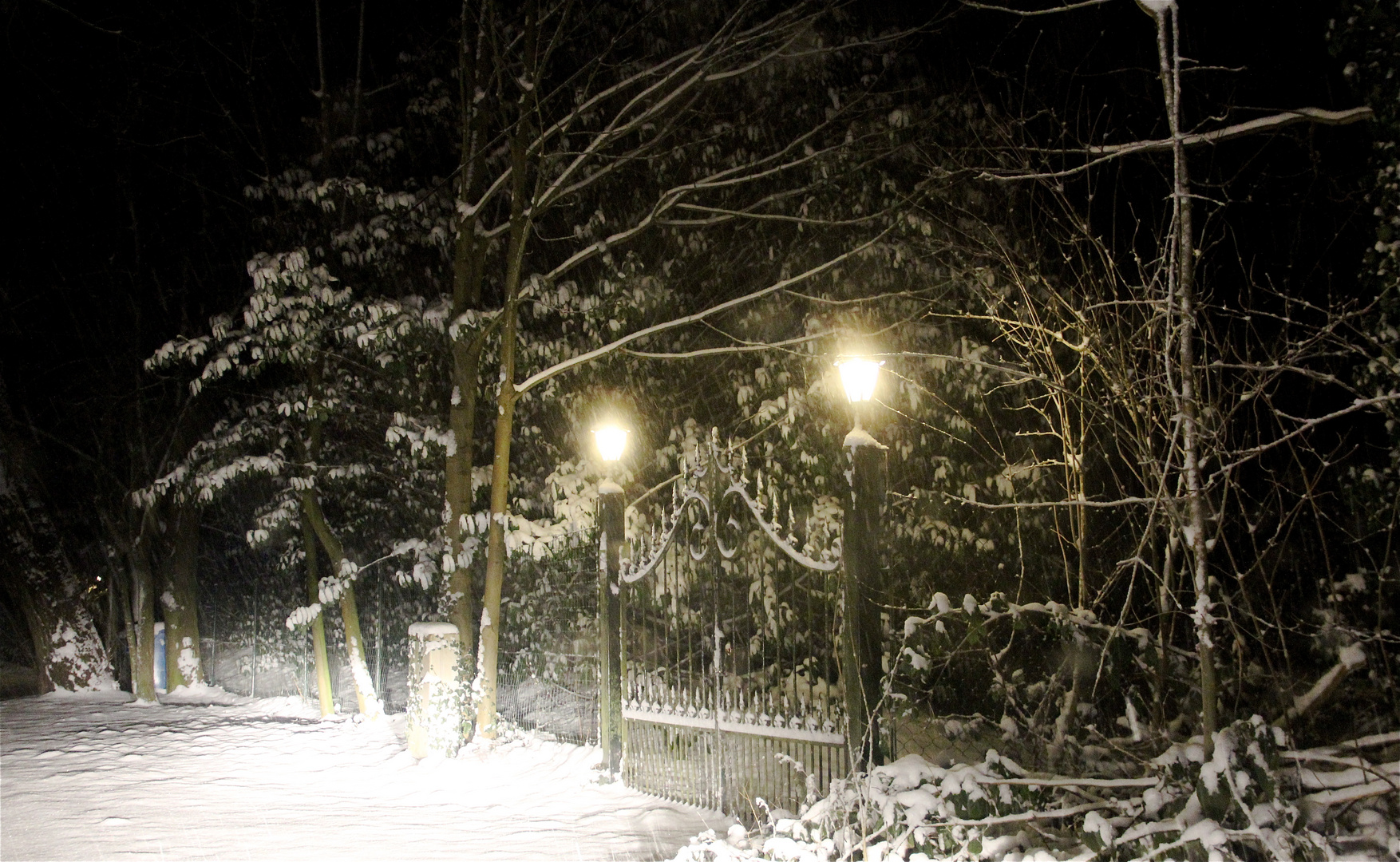 " WINTER am NIEDERRHEIN / KREFELD "