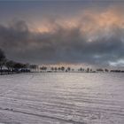 Winter am Niederrhein ....und sein Ende