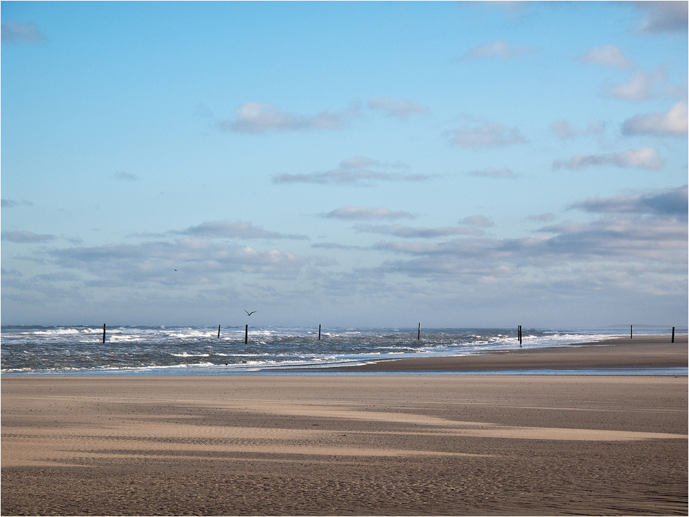 Winter am Nordseestrand