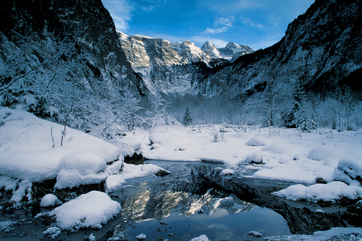 Winter am Obersee