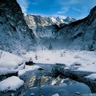 Winter am Obersee