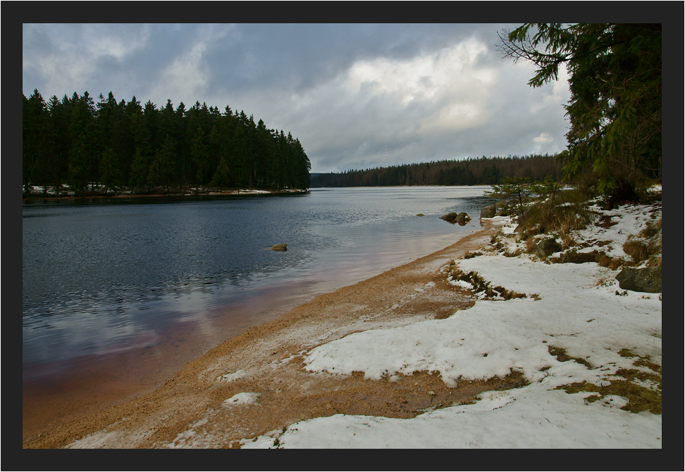 Winter am Oderteich