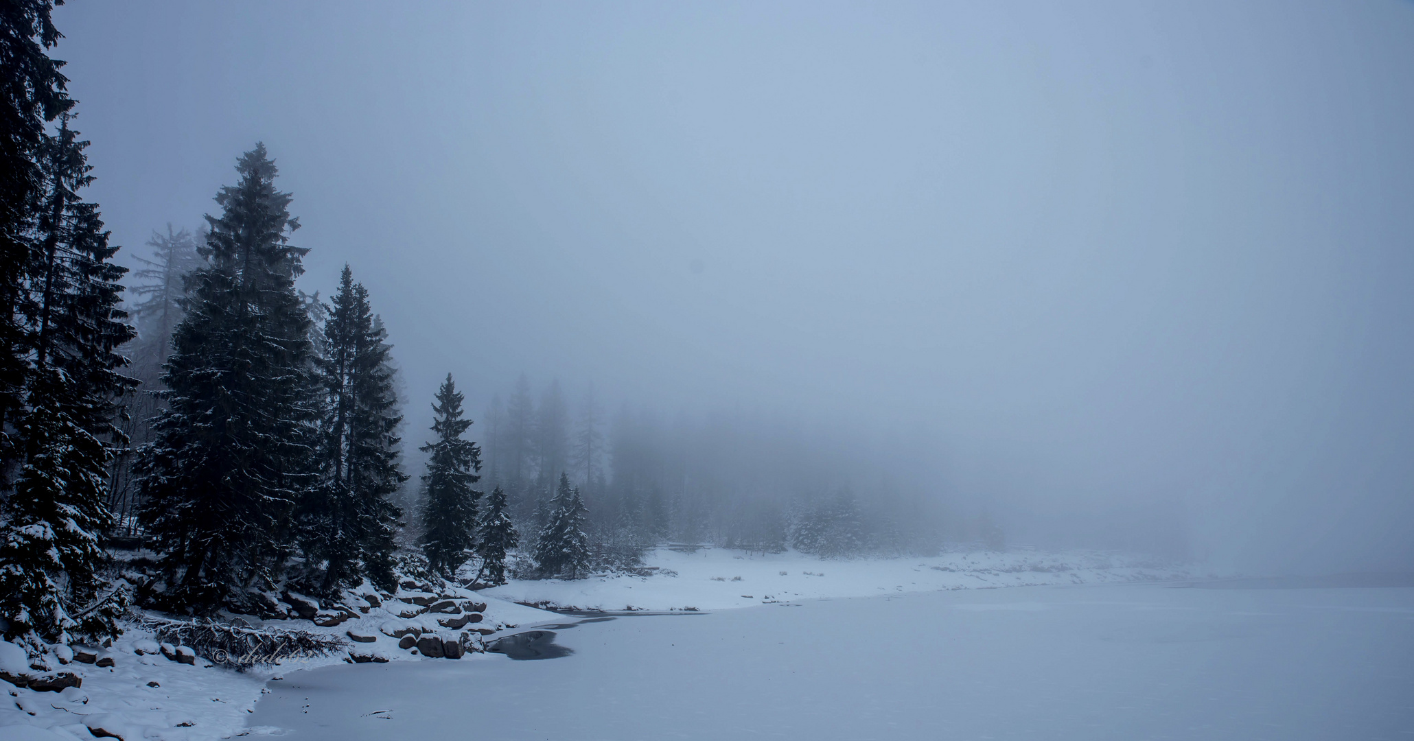 Winter am Oderteich