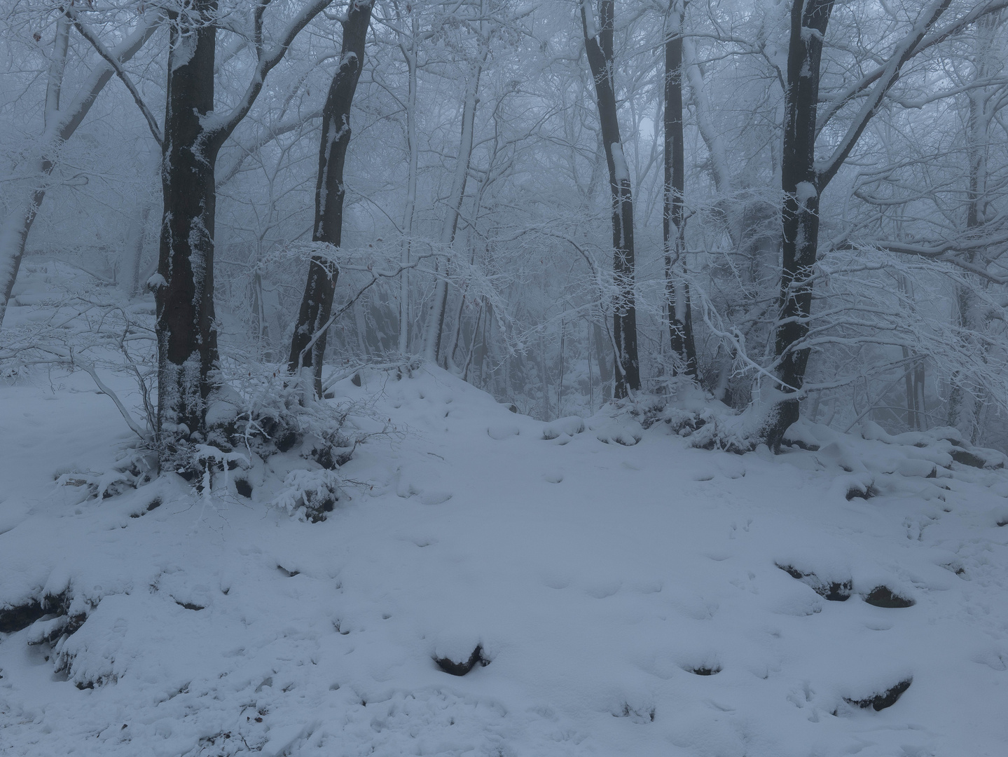 Winter am Ölberg